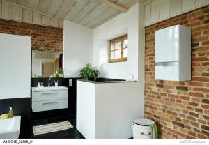 green-iq-in-bathroom-2.jpg