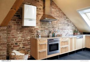 green-iq-in-kitchen.jpg