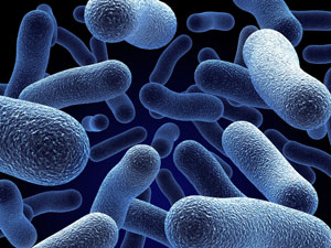 legionnaires