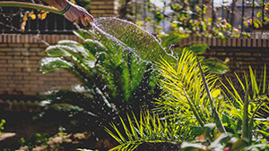 Engineering for water efficient homes