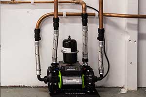 Salamander Pumps