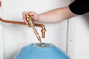 Salamander Pumps