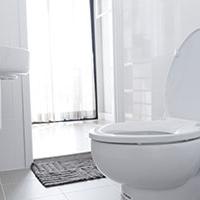 The Toilet is Blocked? What Can You do?