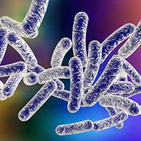 Legionnaire's disease