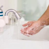 Hopping To Hygiene Excellence