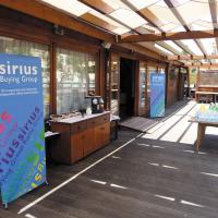 sirius