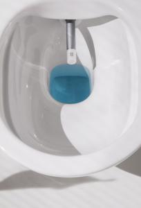 Cleanet Riva Shower WC